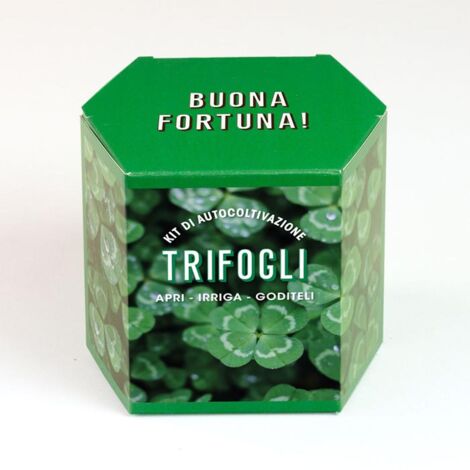 RESETEA, KIT AUTOCOLTIVAZIONE TRIFOGLI, CASA, IDEE REGALO