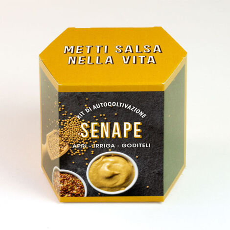RESETEA, KIT DI AUTOCOLTIVAZIONE SENAPE, CASA, IDEE REGALO, CUCINA