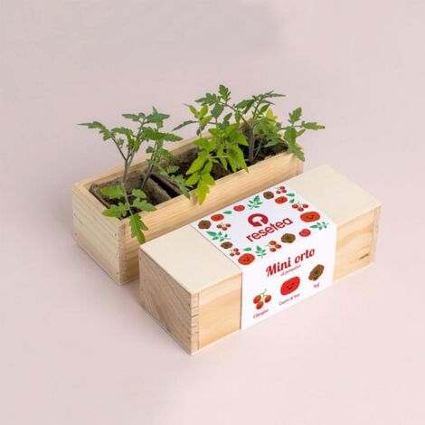 RESETEA, MINI ORTO - POMODORI, CASA, IDEE REGALO
