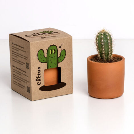 RESETEA, MR CACTUS 8,5X10,7X8,5CM, CASA, IDEE REGALO