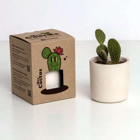 RESETEA, MRS CACTUS 8,5X10,7X8,5CM, CASA, IDEE REGALO