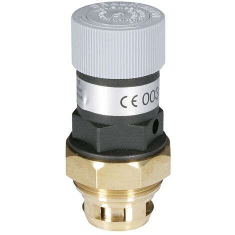 Resideo SV-Austauschsatz A160 1 1/4 ", 6 bar, A160-11/4AA