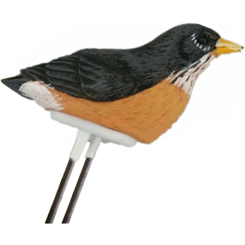 Résine oiseaux sol humidimètre bonsaï testeur capteur alarme test humide Instrument intérieur ferme arrosage rappel, Noir