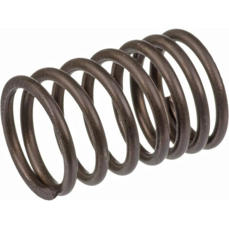 Ressort de soupape BRIGGS ET STRATTON 690520
