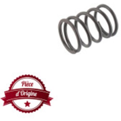 Ressort de soupape BRIGGS ET STRATTON 691304