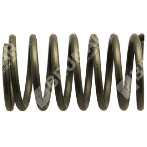 Ressort de soupape pour moteurs DAYE - DAYEE - 023441