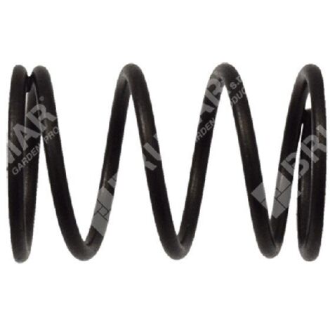 Ressort de soupape pour moteurs LONCIN - 049361