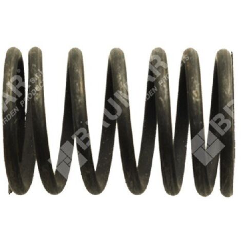 Ressort de soupape pour moteurs TAYA - SANDRIGARDEN - 013420