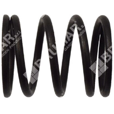 Ressort de soupape pour motopompes DUCAR - 049582