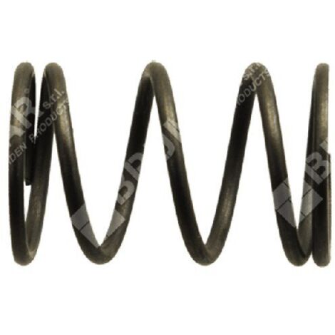Ressort de soupape pour motopompes et motogénérateurs DUCAR - 038091