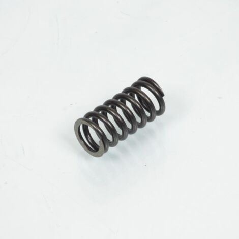 Ressort d'embrayage origine pour moto Suzuki 1400 Intruder
