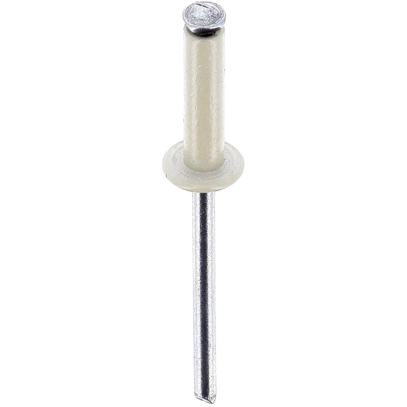 Restagraf - rivet épanoui blanc ø 4 x 16 mm plaque d'immatriculation