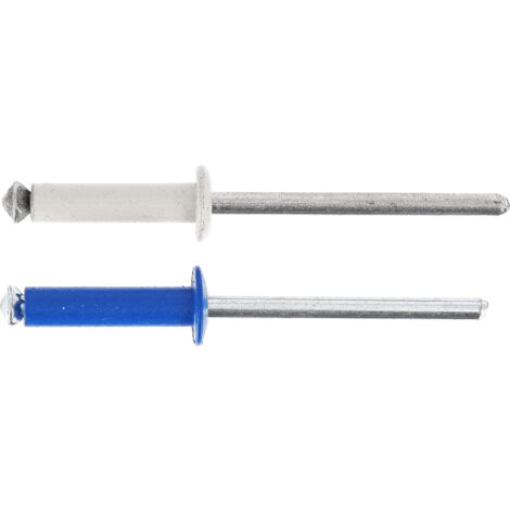 Restagraf - Rivetti Sbocciati Blu, Bianchi per Piastre Immatricolazione - Diametro 4 mm - Lunghezza 26 mm - Rif. 225107 - Blister di 8, grigio/blu