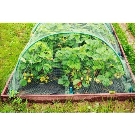 LED LEDS 2x10 4F GROUP