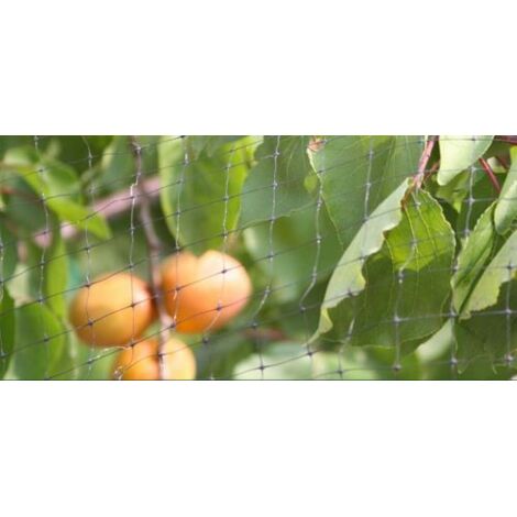 RETE ANTIUCCELLI ORTOAMICA PER PROTEZIONE FRUTTI ORTO DA UCCELLI MT 4X250 34183