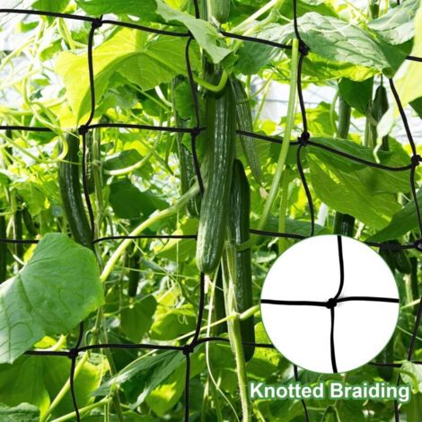 Rete di coltivazione per grow box - Rete elastica con 4 ganci - Per giardino, piante, ortaggi, frutta, fiori, piante rampicanti (120 x 120 cm)