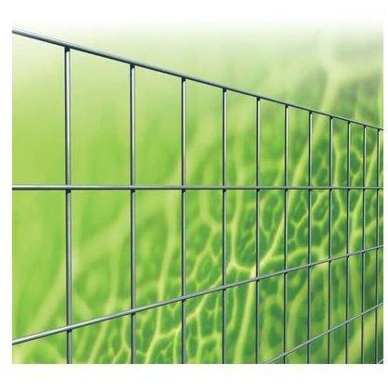 Rete Elettr Zincata 50x75 Stars