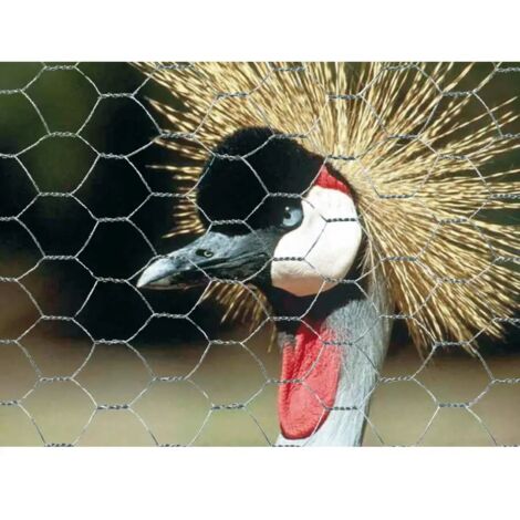 Rete metallica zinc. recinto galline volatili maglia 19x19mm-H0,5x10m Verdemax