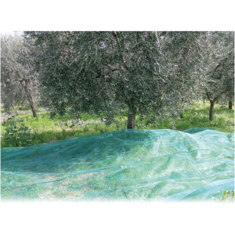 Rete Per Olive Antispine Mt. 8X10 (100 G/M)