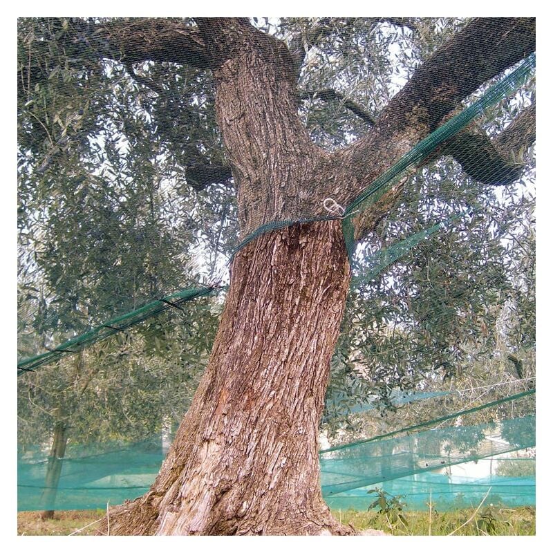 Rete per olive rinforzata e occhiellata tessuto antispina telo con apertura verde 85 gr/mq - 8x8 mt