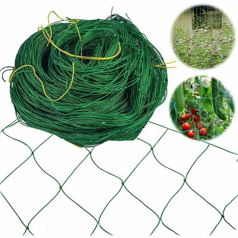 Rete per piante rampicanti Rete per piante rampicanti Rete per piante rampicanti Rete per traliccio da giardino, per piante rampicanti Cetrioli Pomodori (1,8 m 3,6 m)