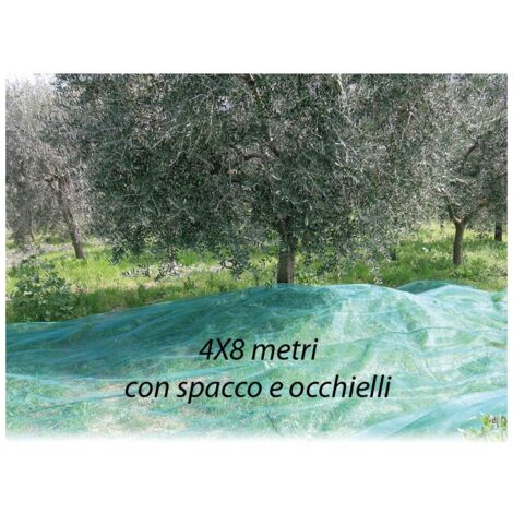 Rete per Raccolta Olive 4x8 metri con Spacco Occhielli Metallo Telo Antispina