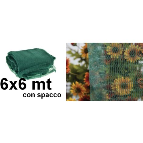Rete raccolta olive antispine con spacco 6x6m