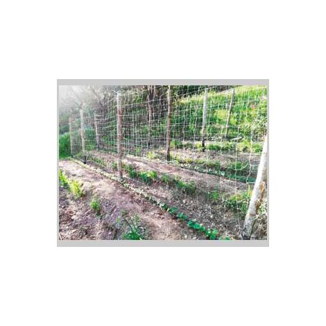 Rete rampicante ideal star 2x100 mt - colore bianco
