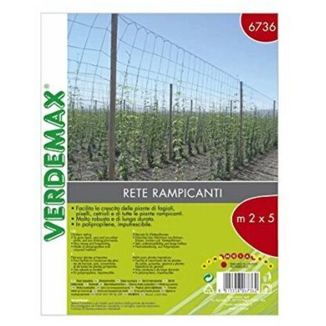 Rete rampicanti metri 2X5 Verdemax
