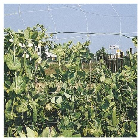 Rete Rampy per rampicanti 2x5m
