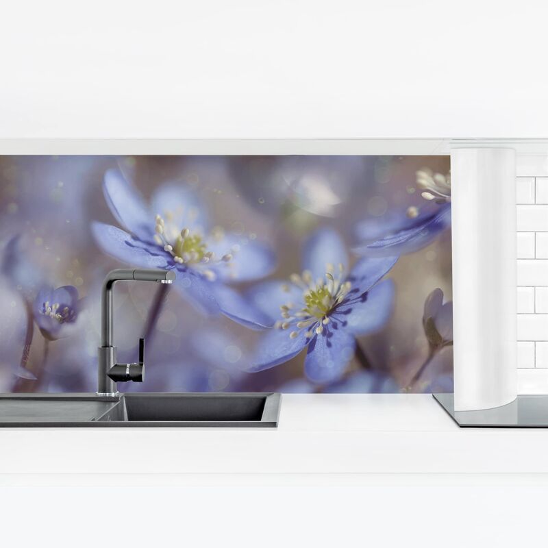 

Bilderwelten - Revestimiento pared cocina - Anemones In Blue Dimensión LxA: 80cm x 280cm Material: Magnético