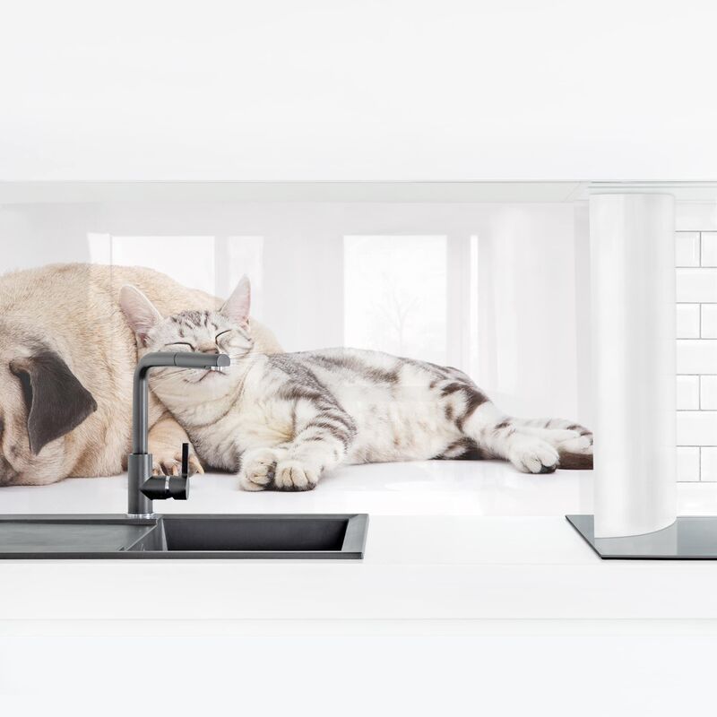 

Revestimiento pared cocina - Best Friends Dimensión LxA: 100cm x 350cm Material: Premium