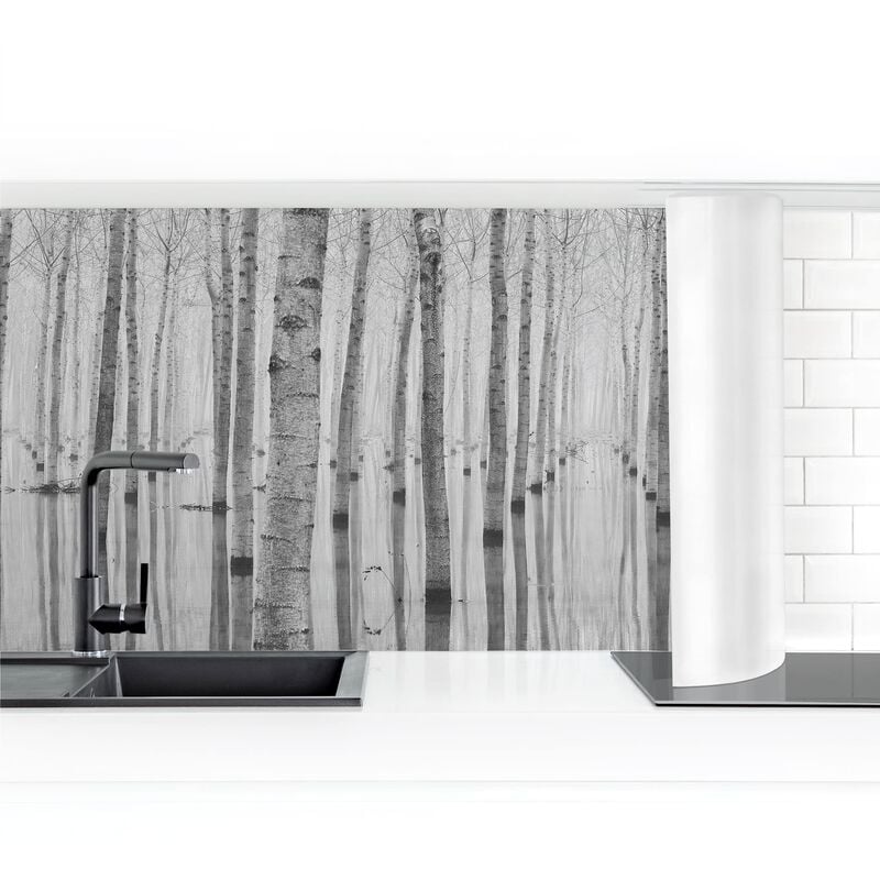 

Bilderwelten - Revestimiento pared cocina - Birches In November Dimensión LxA: 60cm x 200cm Material: Premium