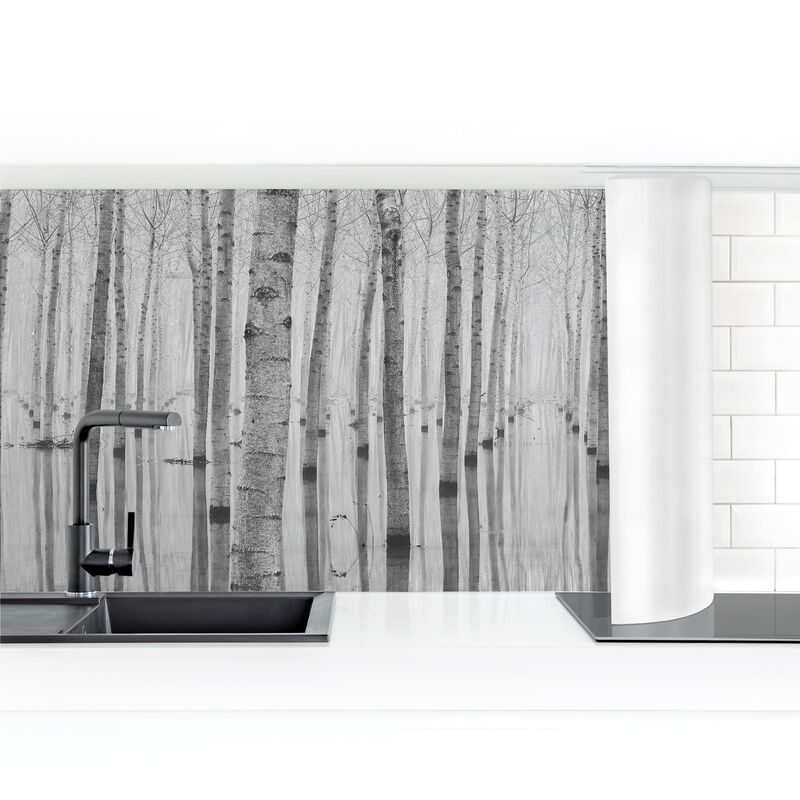 

Bilderwelten - Revestimiento pared cocina - Birches In November Dimensión LxA: 90cm x 350cm Material: Magnético