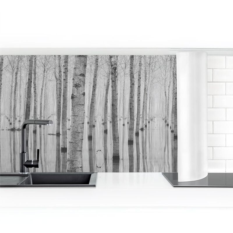 

Revestimiento pared cocina - Birches In November Dimensión LxA: 70cm x 400cm Material: Magnético