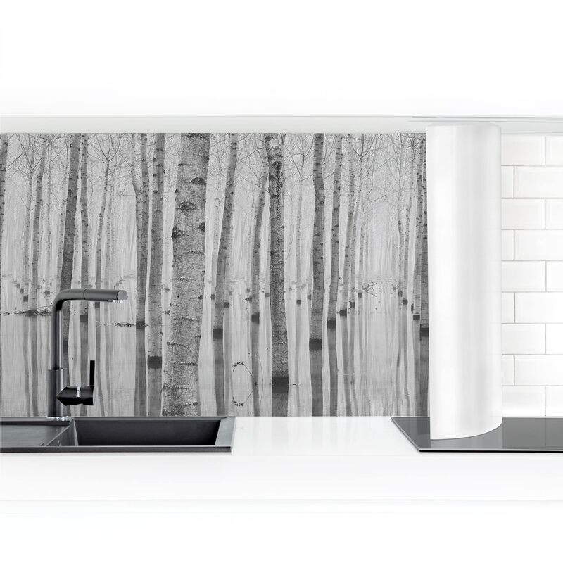 

Bilderwelten - Revestimiento pared cocina - Birches In November Dimensión LxA: 60cm x 200cm Material: Smart