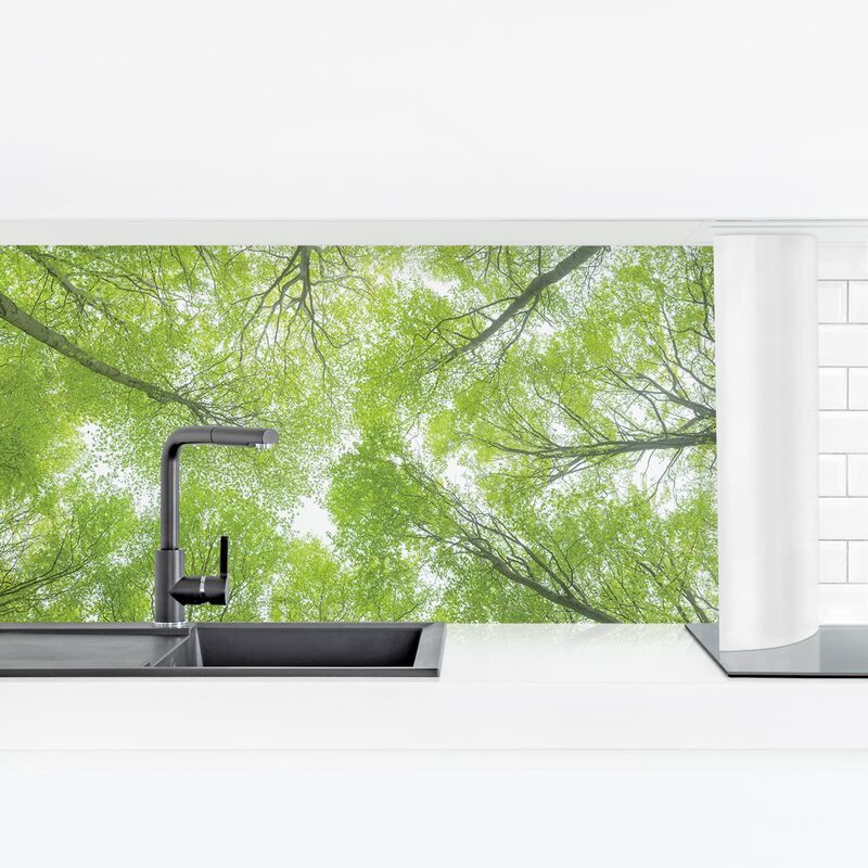 

Revestimiento pared cocina - Buchenwald On Lindkogel Dimensión LxA: 80cm x 280cm Material: Smart