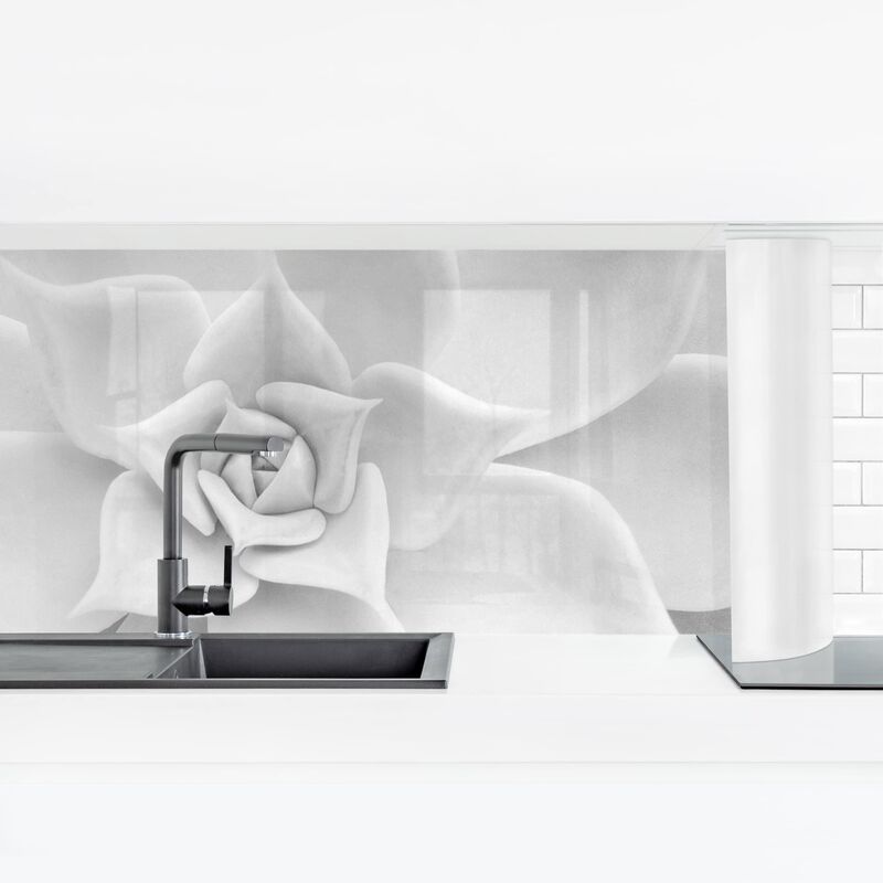 

Revestimiento pared cocina - Cactus Succulent Dimensión LxA: 70cm x 245cm Material: Premium