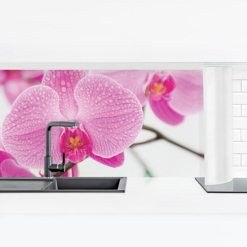 

Revestimiento pared cocina - Close Orchid Dimensión LxA: 40cm x 140cm Material: Smart