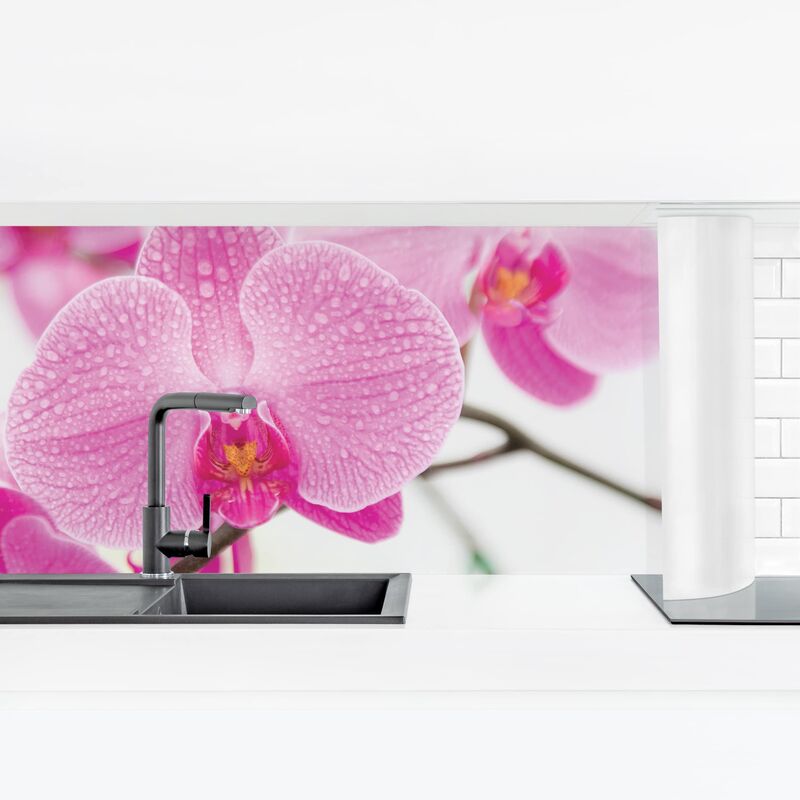 

Revestimiento pared cocina - Close Orchid Dimensión LxA: 60cm x 210cm Material: Premium