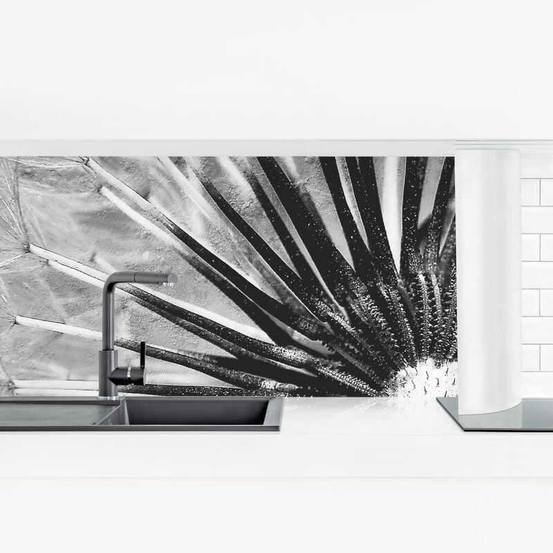 

Revestimiento pared cocina - Dandelion Black & White Dimensión LxA: 60cm x 210cm Material: Magnético