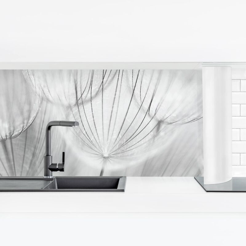 

Revestimiento pared cocina - Dandelions Macro Shot In Black And White Dimensión LxA: 100cm x 350cm Material: Premium