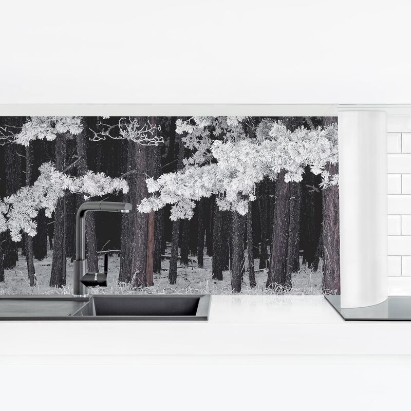 

Revestimiento pared cocina - Forest With Hoarfrost In Austria Dimensión LxA: 60cm x 210cm Material: Magnético