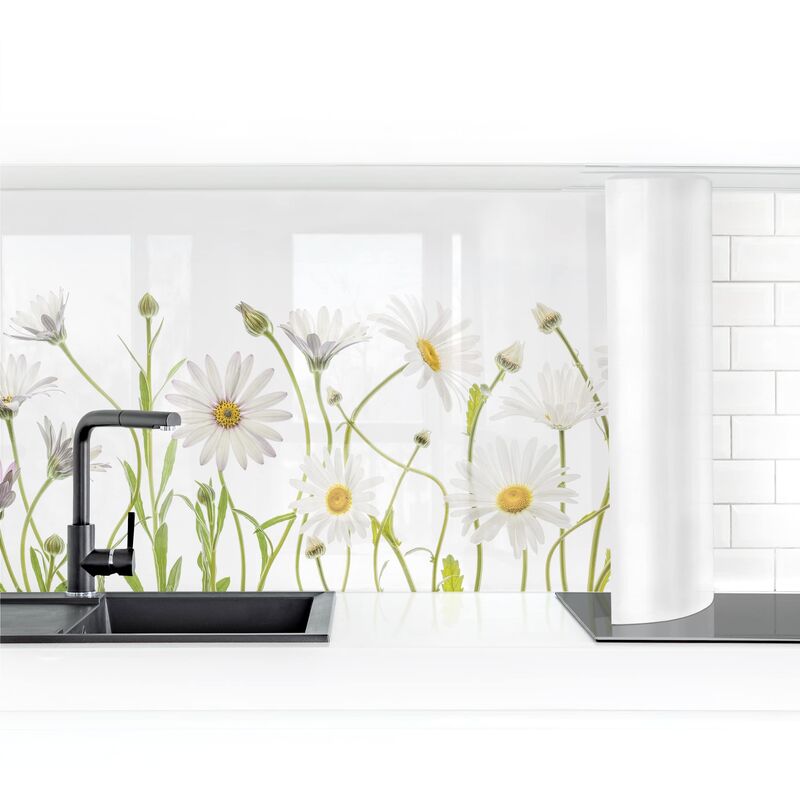 

Bilderwelten - Revestimiento pared cocina - Gentle Daisy Mix I Dimensión LxA: 70cm x 250cm Material: Smart