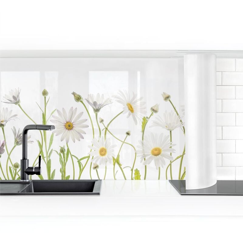 

Bilderwelten - Revestimiento pared cocina - Gentle Daisy Mix I Dimensión LxA: 50cm x 300cm Material: Smart