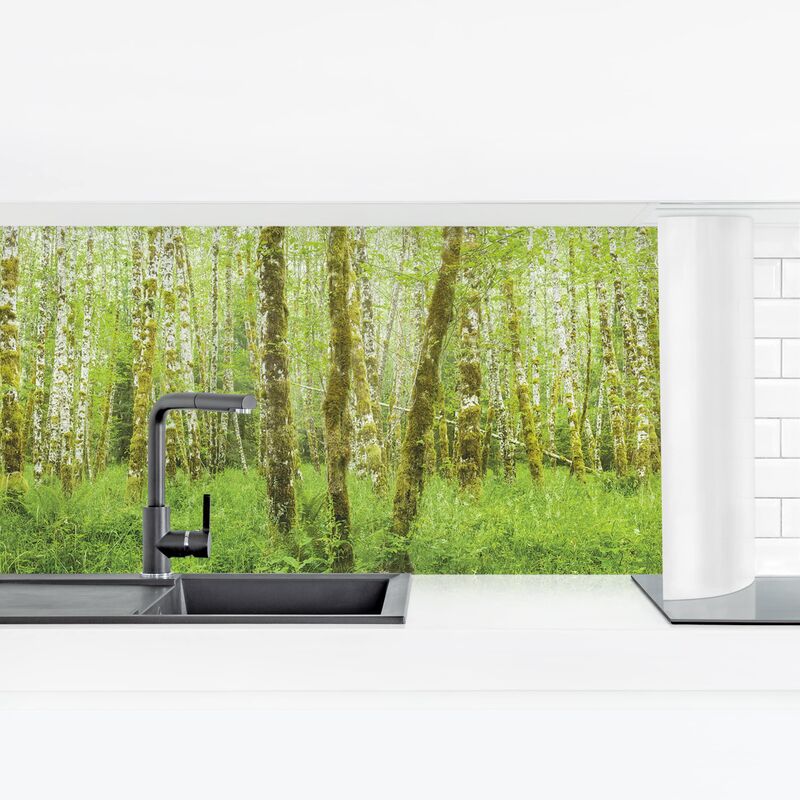 

Revestimiento pared cocina - Hoh Rain Forest In Olympic National Park Dimensión LxA: 90cm x 315cm Material: Premium