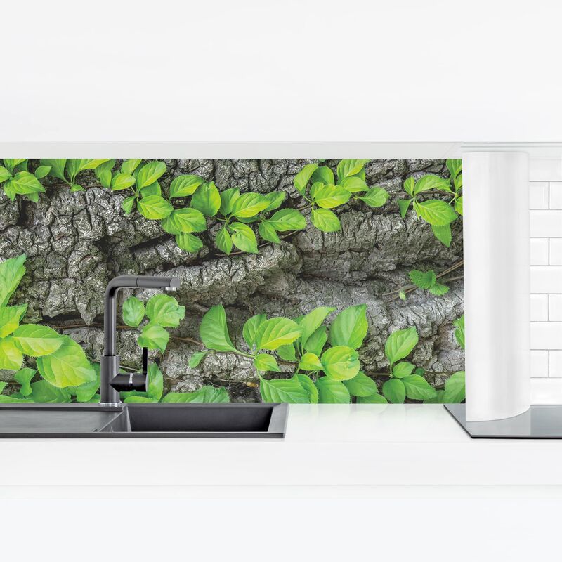 

Revestimiento pared cocina - Ivy Tree Bark Dimensión LxA: 60cm x 210cm Material: Magnético