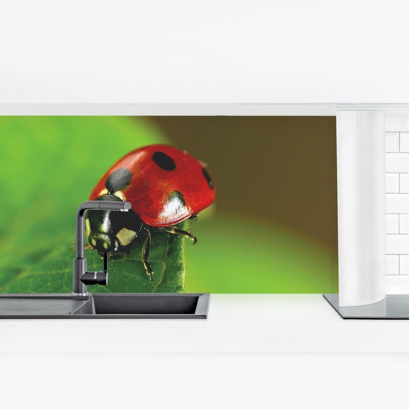 

Revestimiento pared cocina - Ladybird Dimensión LxA: 40cm x 140cm Material: Smart