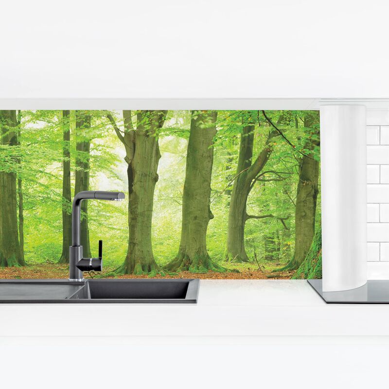 

Revestimiento pared cocina - Mighty Beech Trees Dimensión LxA: 40cm x 140cm Material: Magnético