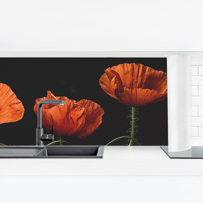 

Revestimiento pared cocina - Poppies At Midnight Dimensión LxA: 50cm x 175cm Material: Premium